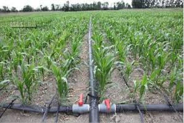 BENIN, 2014: Aménagement Hydro Agricole : Système d'irrigation Goute à Goute